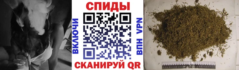 как найти   Куртамыш  БУТИРАТ Butirat 