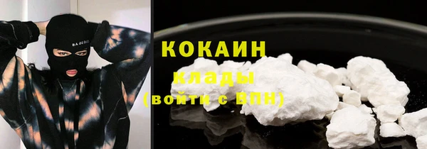 бошки Лагань