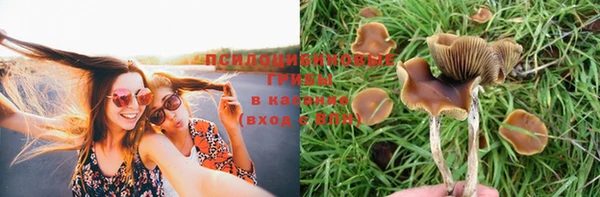 mix Ладушкин